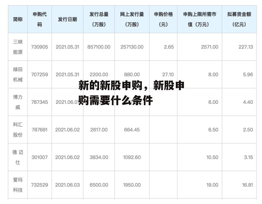 新的新股申购，新股申购需要什么条件