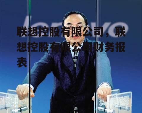 联想控股有限公司，联想控股有限公司财务报表