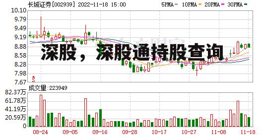 深股，深股通持股查询