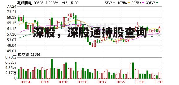 深股，深股通持股查询