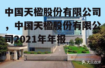 中国天楹股份有限公司，中国天楹股份有限公司2021年年报