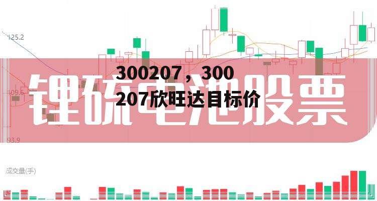 300207，300207欣旺达目标价