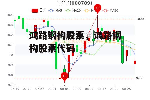 鸿路钢构股票，鸿路钢构股票代码