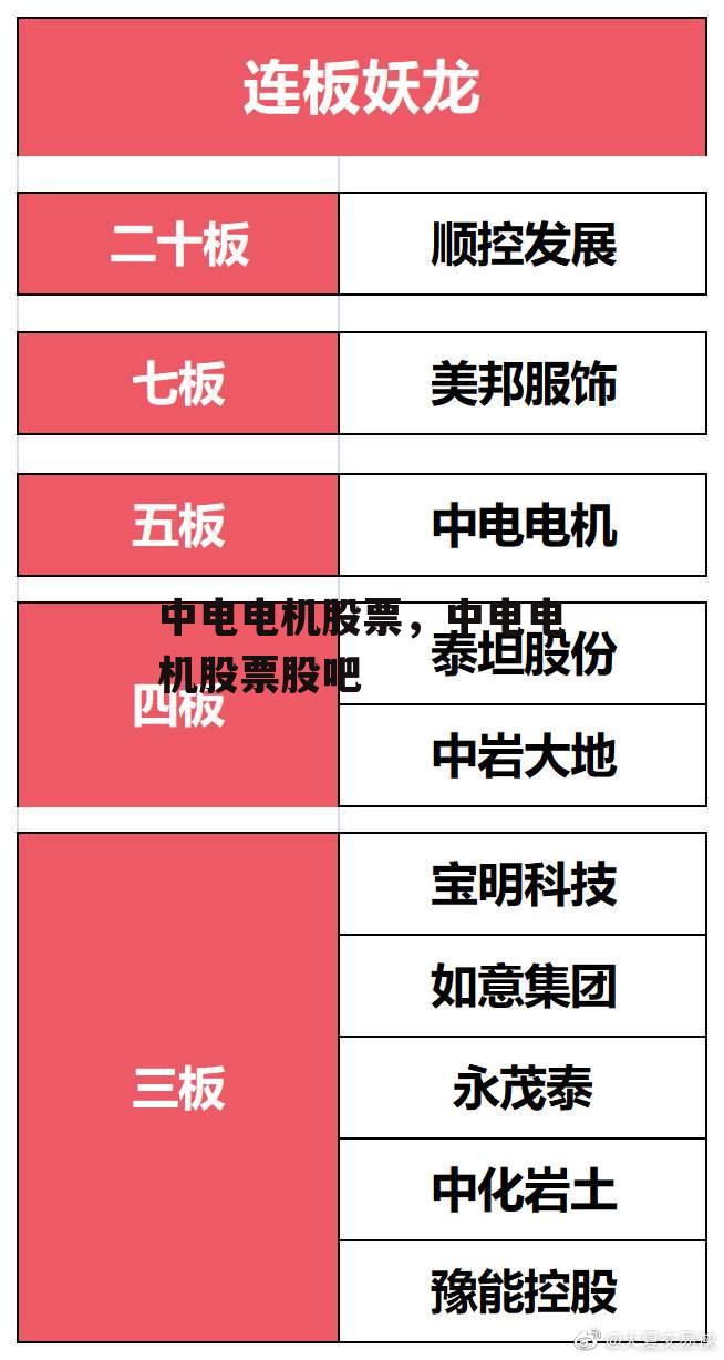 中电电机股票，中电电机股票股吧