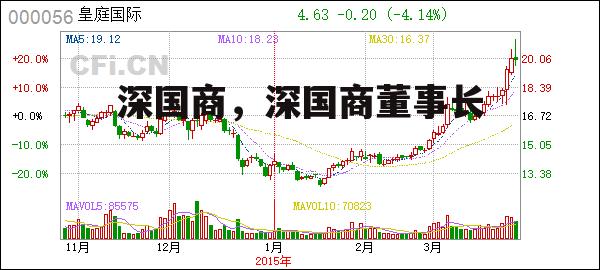 深国商，深国商董事长