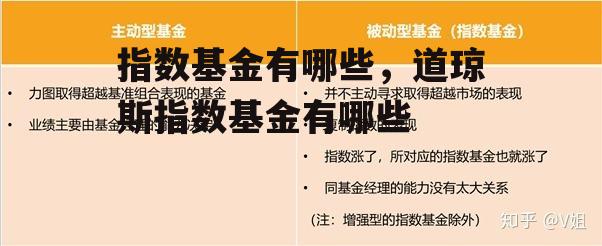 指数基金有哪些，道琼斯指数基金有哪些