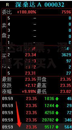 深桑达a股票，深桑达A股票不能买入