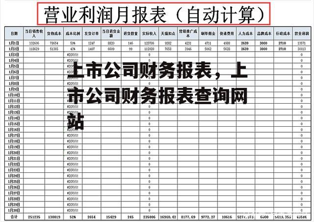 上市公司财务报表，上市公司财务报表查询网站