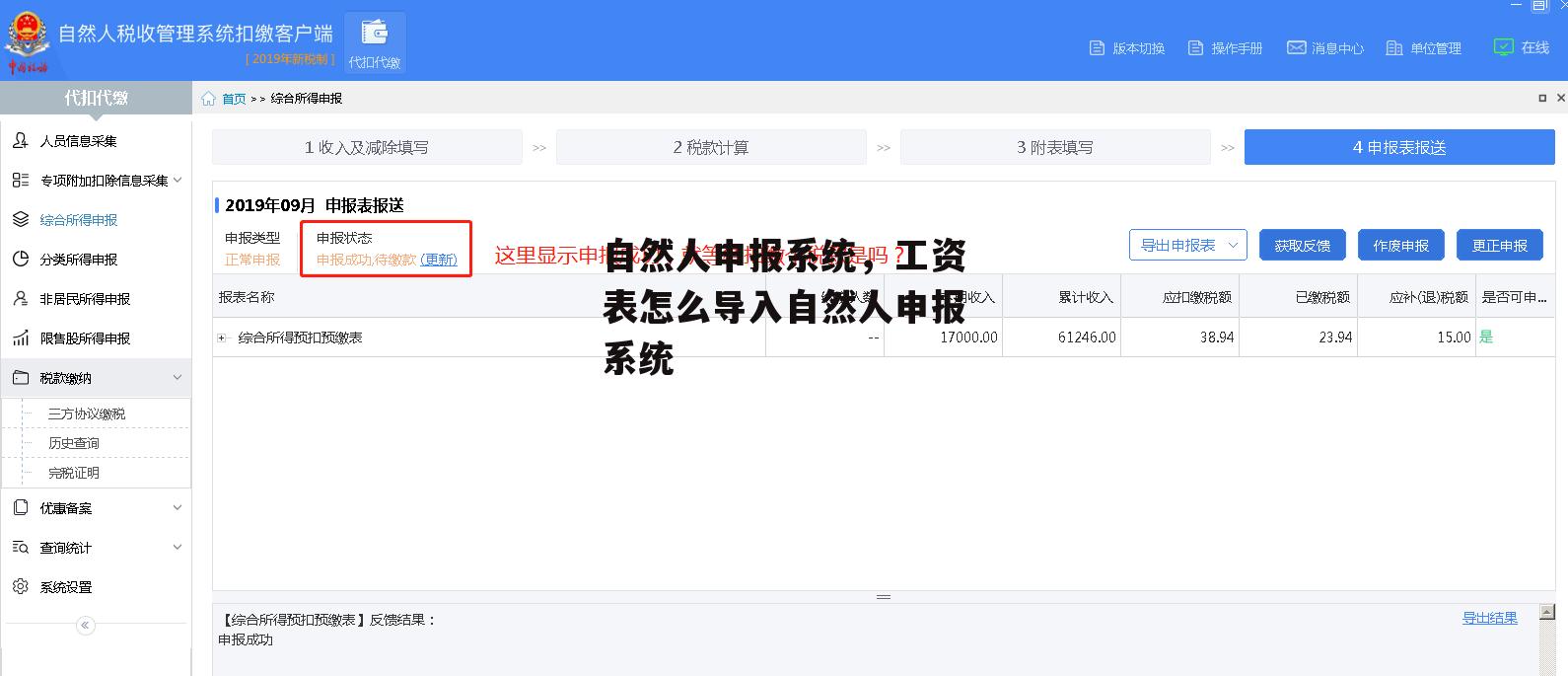 自然人申报系统，工资表怎么导入自然人申报系统