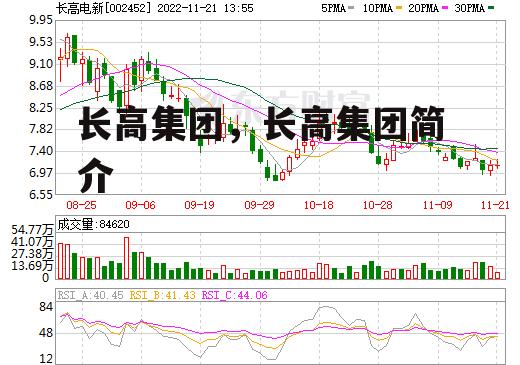 长高集团，长高集团简介