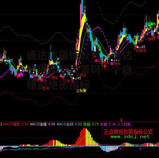 通达信指标公式，通达信指标公式源码一个稳赚的绝密指标