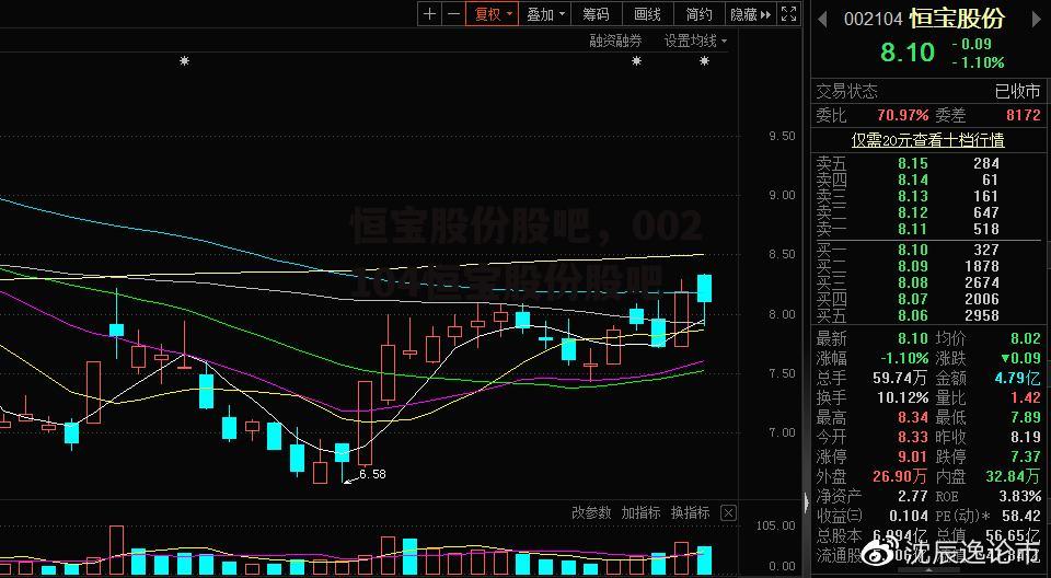 恒宝股份股吧，002104恒宝股份股吧