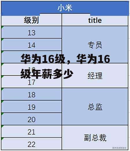 华为16级，华为16级年薪多少