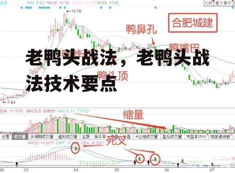 老鸭头战法，老鸭头战法技术要点