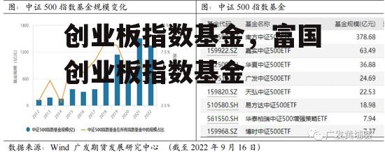 创业板指数基金，富国创业板指数基金