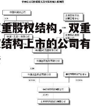 双重股权结构，双重股权结构上市的公司有哪些