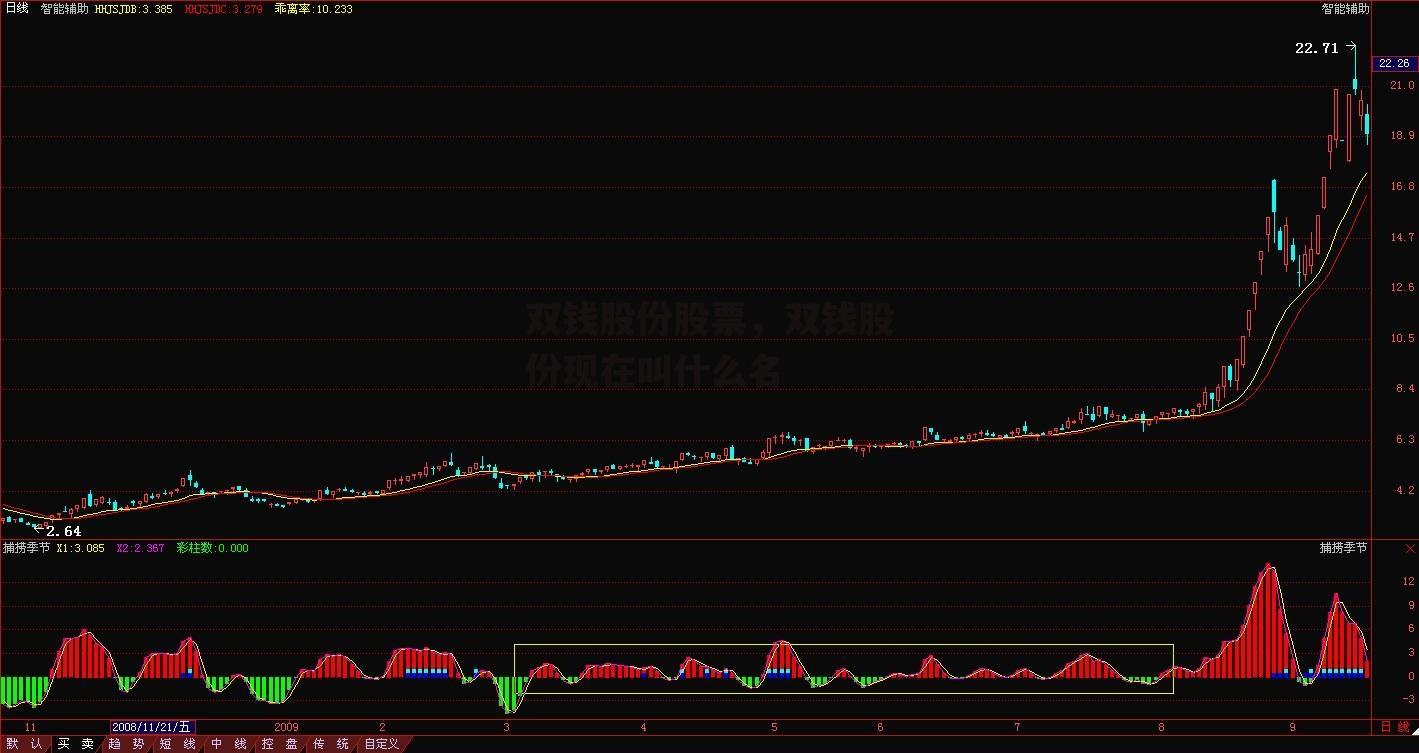 双钱股份股票，双钱股份现在叫什么名