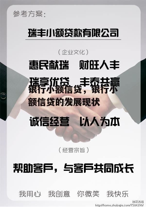 银行小额信贷，银行小额信贷的发展现状