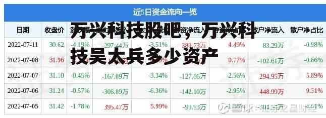 万兴科技股吧，万兴科技吴太兵多少资产