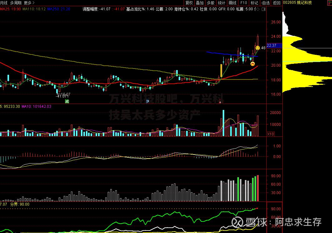 万兴科技股吧，万兴科技吴太兵多少资产