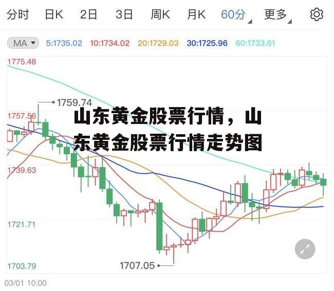 山东黄金股票行情，山东黄金股票行情走势图