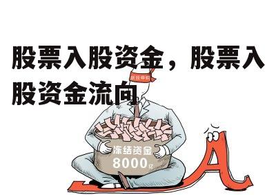 股票入股资金，股票入股资金流向