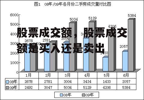 股票成交额，股票成交额是买入还是卖出