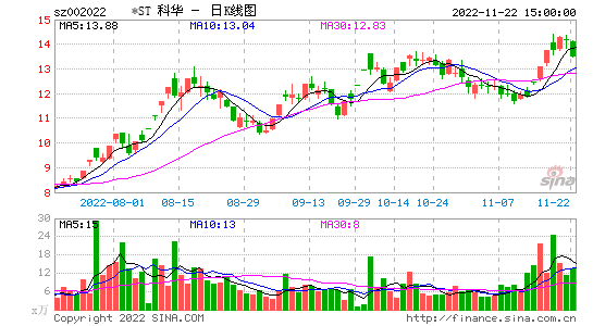 002022股票，002022股票行情查询