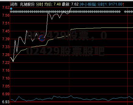 002429股票，002429股票股吧