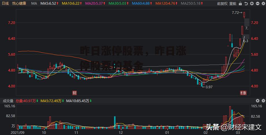 昨日涨停股票，昨日涨停股票的基金