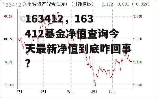 163412，163412基金净值查询今天最新净值到底咋回事?