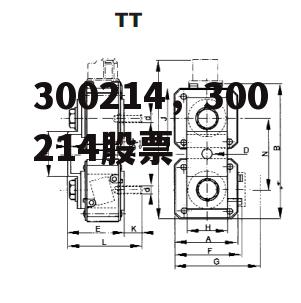 300214，300214股票