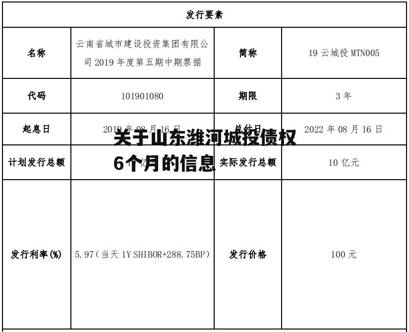 关于山东潍河城投债权6个月的信息