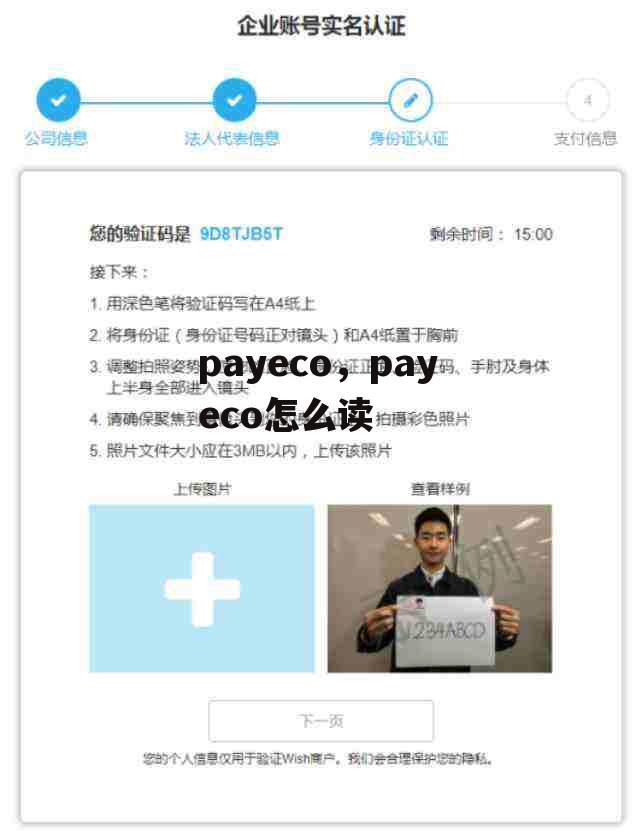 payeco，payeco怎么读