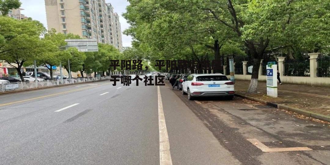 平阳路，平阳路街道属于哪个社区