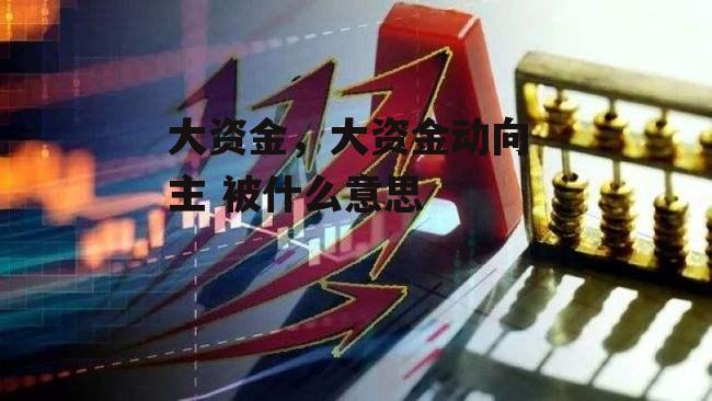 大资金，大资金动向 主 被什么意思