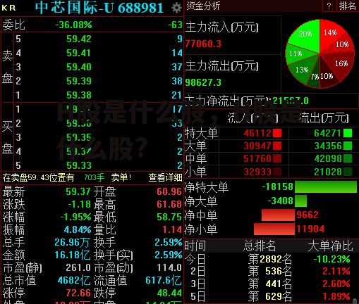 H股是什么股，H股是什么股?