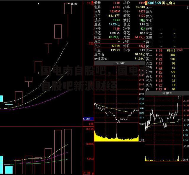 国电南自股吧，国电南自股吧新浪财经