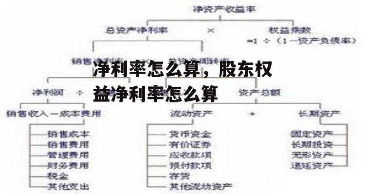 净利率怎么算，股东权益净利率怎么算