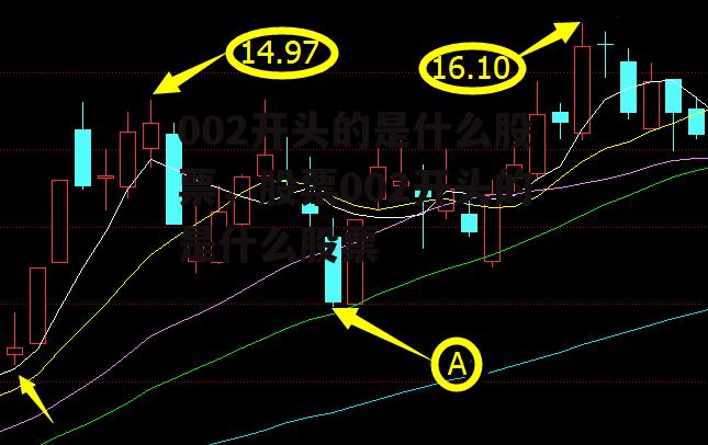 002开头的是什么股票，股票002开头的是什么股票