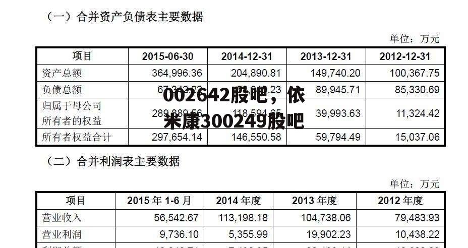 002642股吧，依米康300249股吧