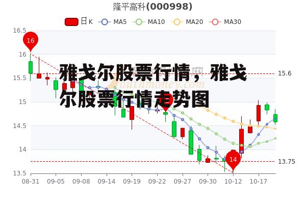 雅戈尔股票行情，雅戈尔股票行情走势图