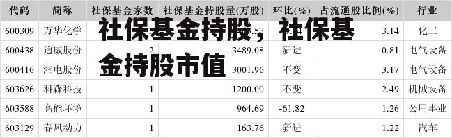 社保基金持股，社保基金持股市值