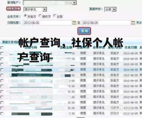 帐户查询，社保个人帐户查询