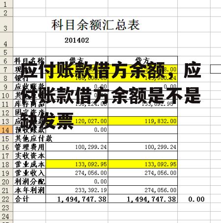 应付账款借方余额，应付账款借方余额是不是缺发票