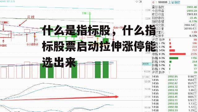 什么是指标股，什么指标股票启动拉伸涨停能选出来