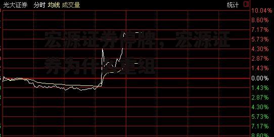 宏源证券停牌，宏源证券为什么重组