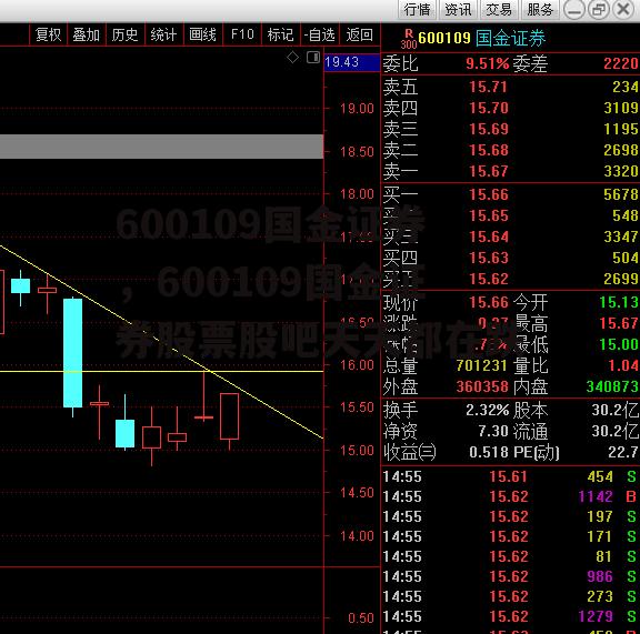 600109国金证券，600109国金证券股票股吧天天都在跌