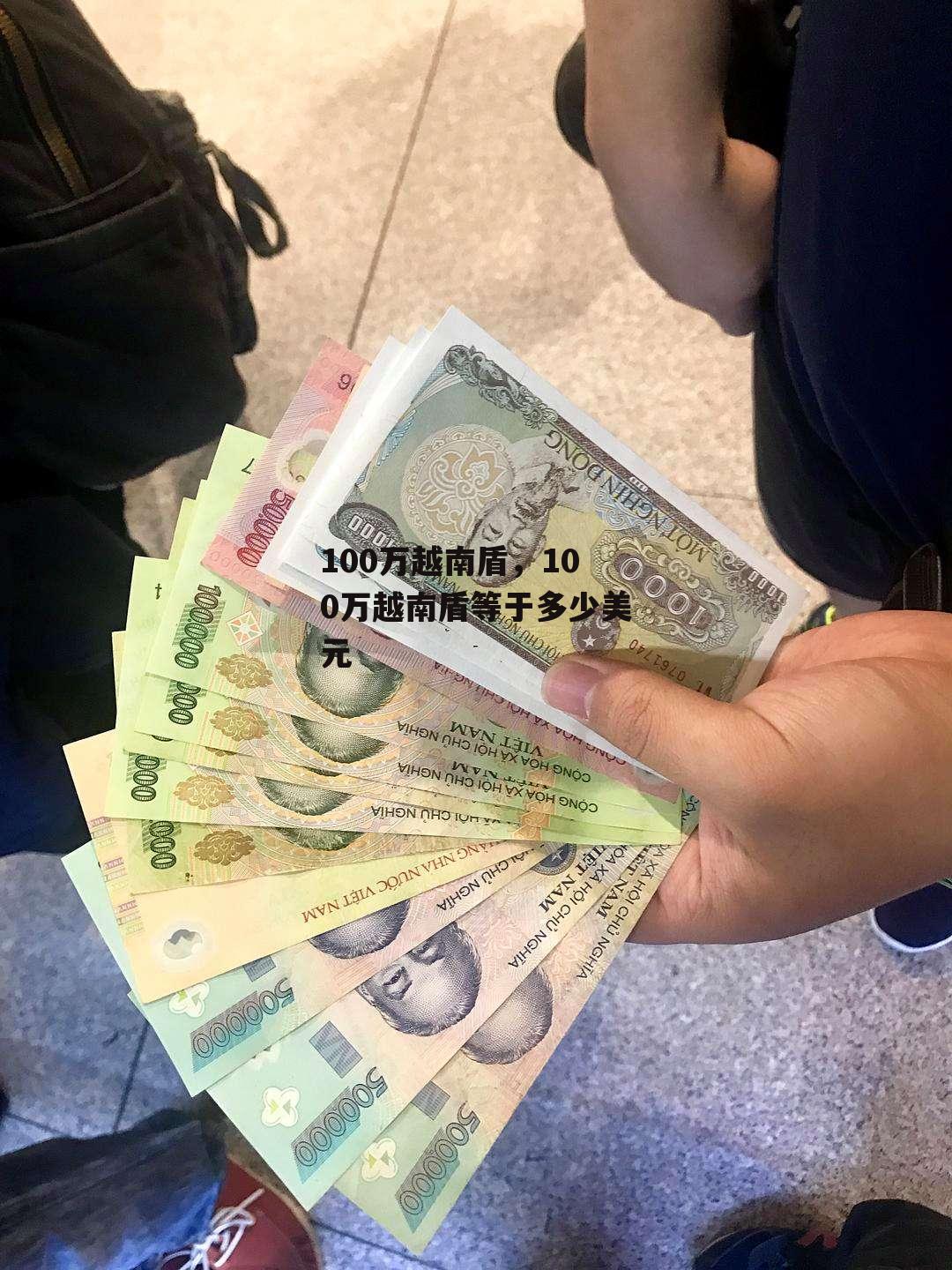 100万越南盾，100万越南盾等于多少美元