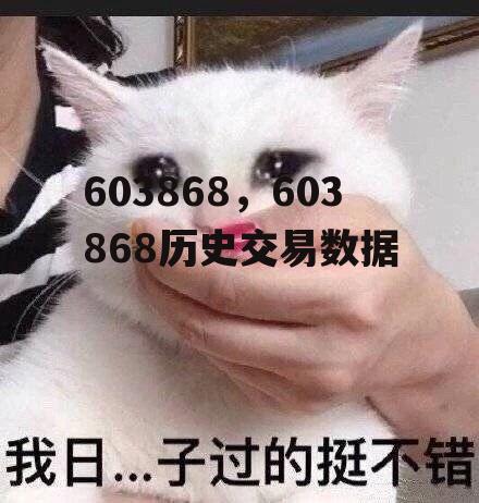 603868，603868历史交易数据